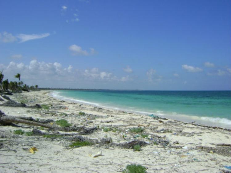 Foto Terreno en Venta en Mahahual, Quintana Roo - $ 660.000 - TEV72906 - BienesOnLine