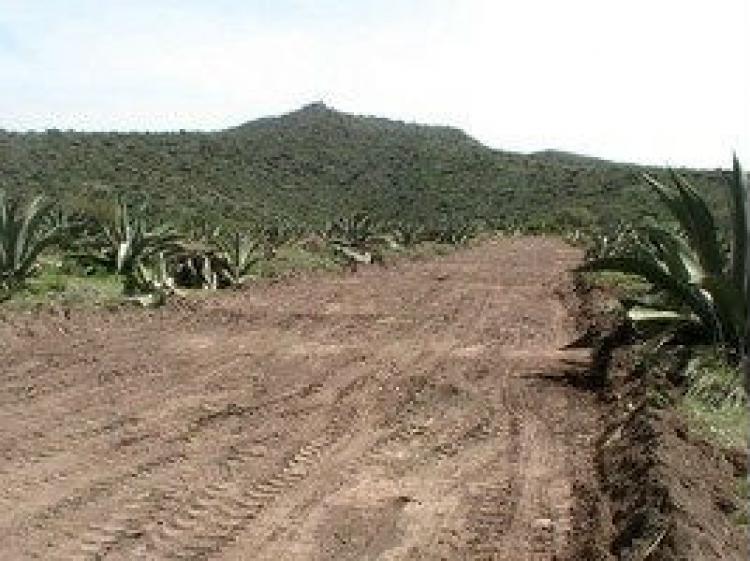 Foto Terreno en Venta en San Agustn Tlaxiaca, Hidalgo - $ 41.000 - TEV51013 - BienesOnLine