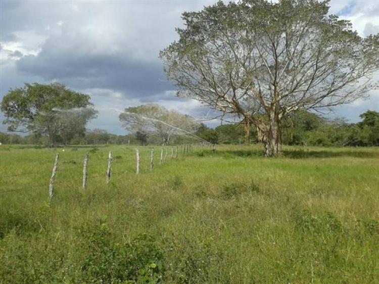 Foto Rancho en Venta en Sucila Yucatan, Sucil, Yucatan - $ 900.000 - RAV55033 - BienesOnLine