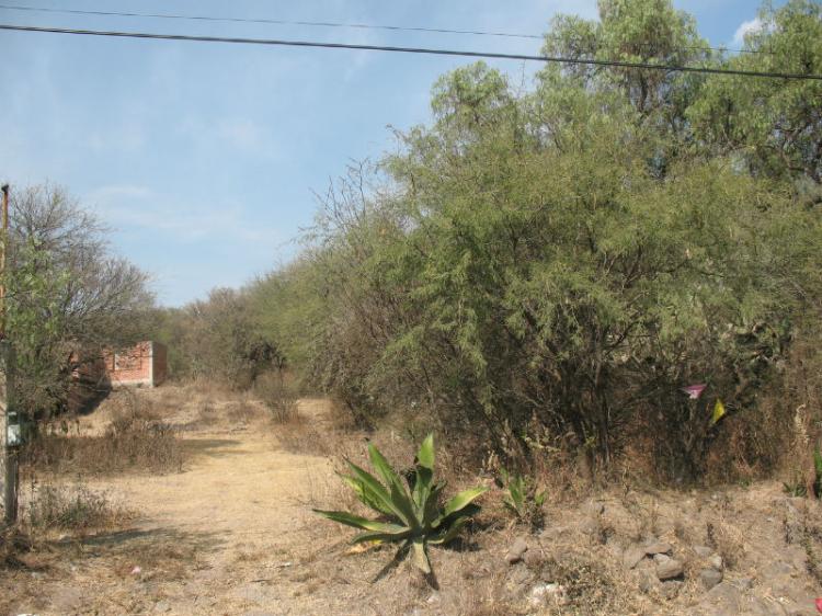 Foto Terreno en Venta en Santa Maria Magdalena, Tepeji del Ro de Ocampo, Hidalgo - 4 hectareas - $ 4.394.000 - TEV48479 - BienesOnLine