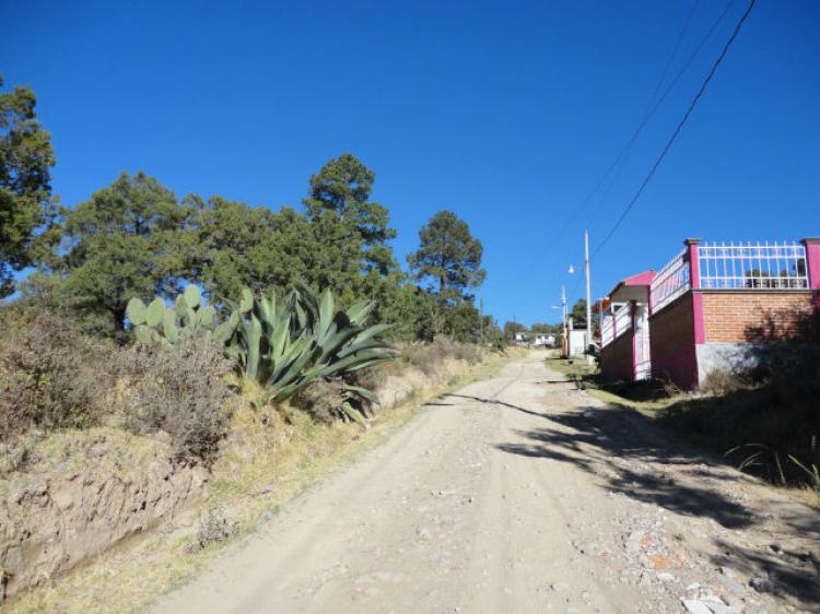 Foto Terreno en Venta en Chautzingo, Tetla, Tlaxcala - $ 200 - TEV53116 - BienesOnLine