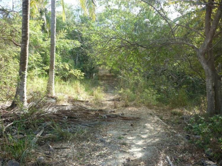 Foto Terreno en Venta en Sayulita, , Nayarit - $ 10.200.000 - TEV62392 - BienesOnLine