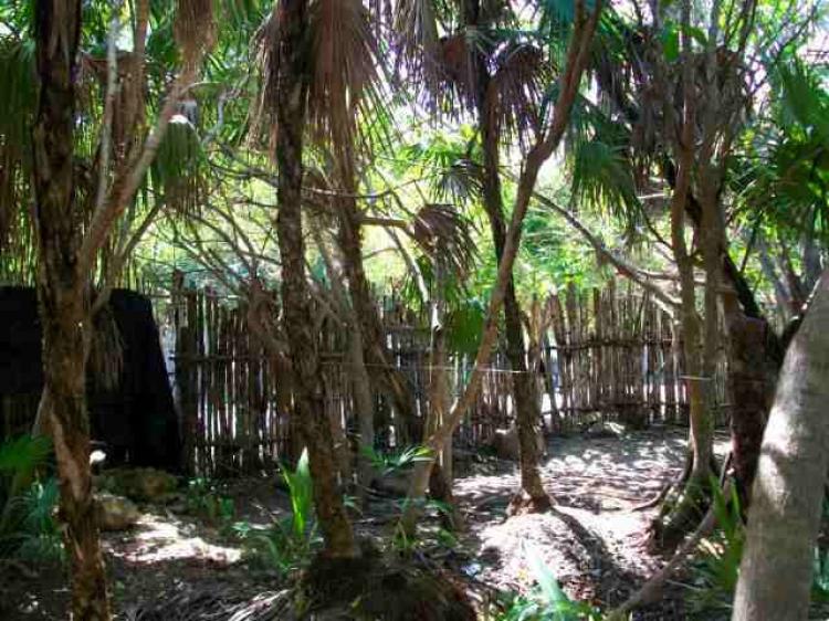 Foto Terreno en Venta en Tulum, Quintana Roo - U$D 200.000 - TEV47009 - BienesOnLine