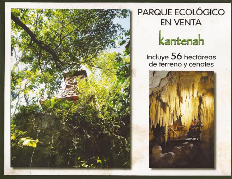Foto Terreno en Venta en Tulum, Quintana Roo - 56 hectareas - U$D 1.400.000 - TEV49131 - BienesOnLine