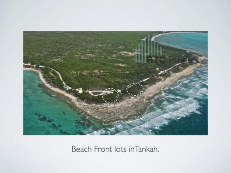 Foto Terreno en Venta en Tulum, Quintana Roo - U$D 280.000 - TEV54686 - BienesOnLine