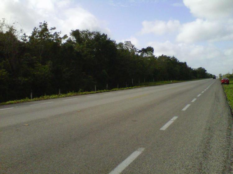 Home in Metric Way
