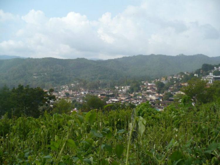 Home in Metric Way