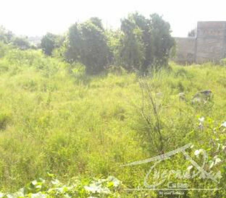 Foto Terreno en Venta en Obrera Popular, Xochitepec, Morelos - $ 550.000 - TEV76590 - BienesOnLine