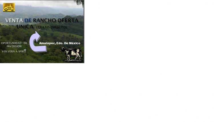 Foto Rancho en Venta en Amatepec, El Oro de Hidalgo, Mexico - $ 10.500 - RAV52509 - BienesOnLine