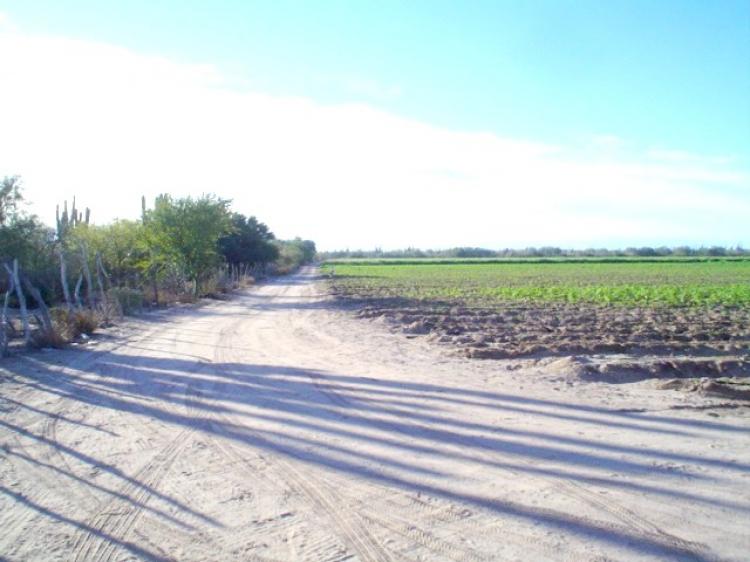 Foto Terreno en Venta en San Marcos, Ensenada, Baja California - 20 hectareas - U$D 1.000.000 - TEV2212 - BienesOnLine