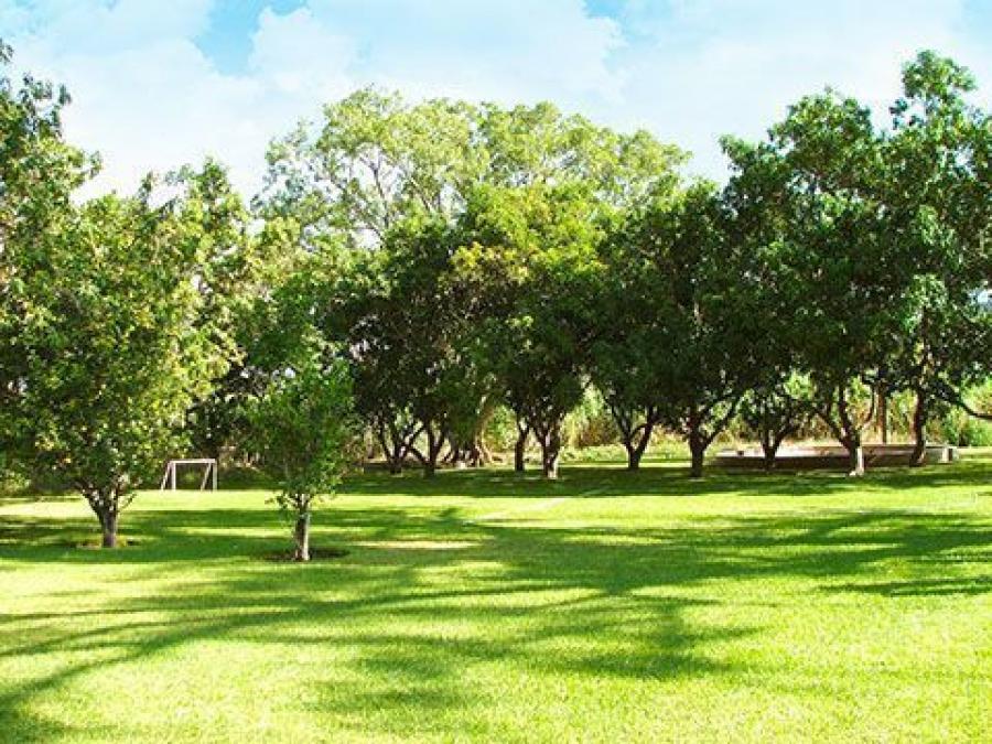 Foto Terreno en Venta en Colonos de Ticuman, Tlaltizapán, Morelos - $ 350 - TEV261807 - BienesOnLine