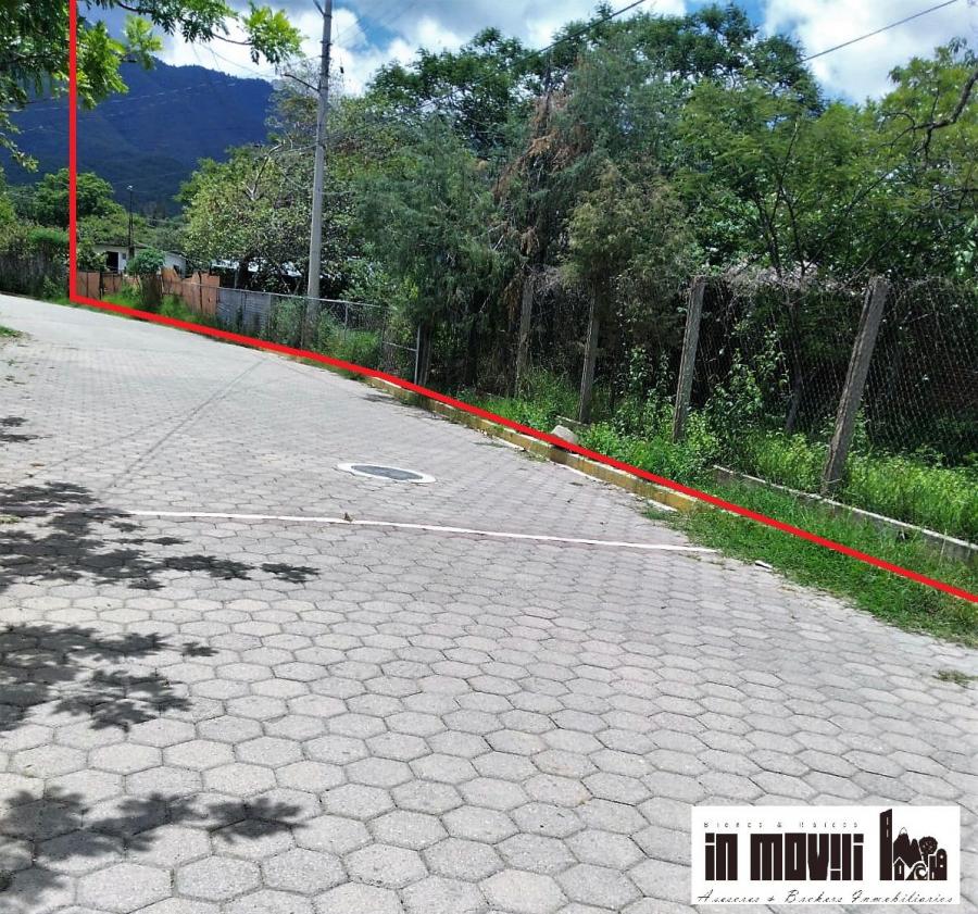 Foto Terreno en Venta en centro, San Andrs Huaypam, Oaxaca - $ 8.750.000 - TEV344351 - BienesOnLine