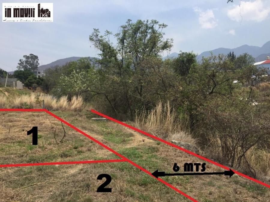 Foto Terreno en Venta en San Andrs Huaypam, Oaxaca - $ 1.300.000 - TEV326923 - BienesOnLine