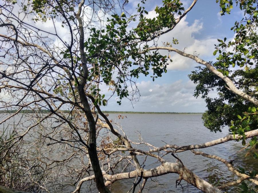Foto Terreno en Venta en Laguna de San Felipe, Bacalar, Quintana Roo - $ 8.000.000 - TEV301826 - BienesOnLine