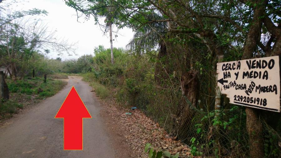 Foto Terreno en Venta en Paso del Toro, Veracruz - $ 330 - TEV277000 - BienesOnLine