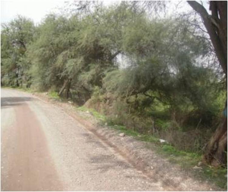 Foto Terreno en Venta en Tlajomulco de Ziga, Jalisco - $ 290 - TEV28383 - BienesOnLine