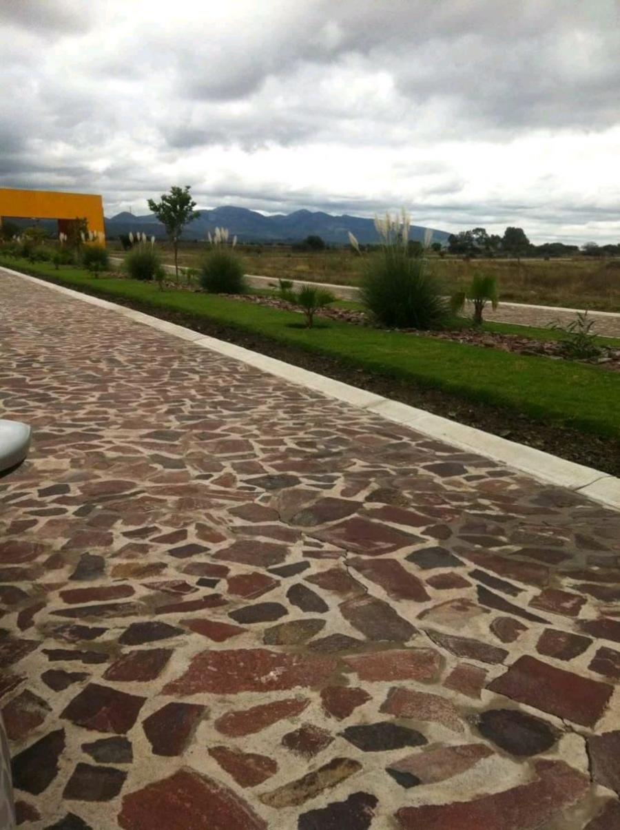 Foto Local en Renta en Centro, Celaya, Guanajuato - $ 20.000 - LOR242811 - BienesOnLine