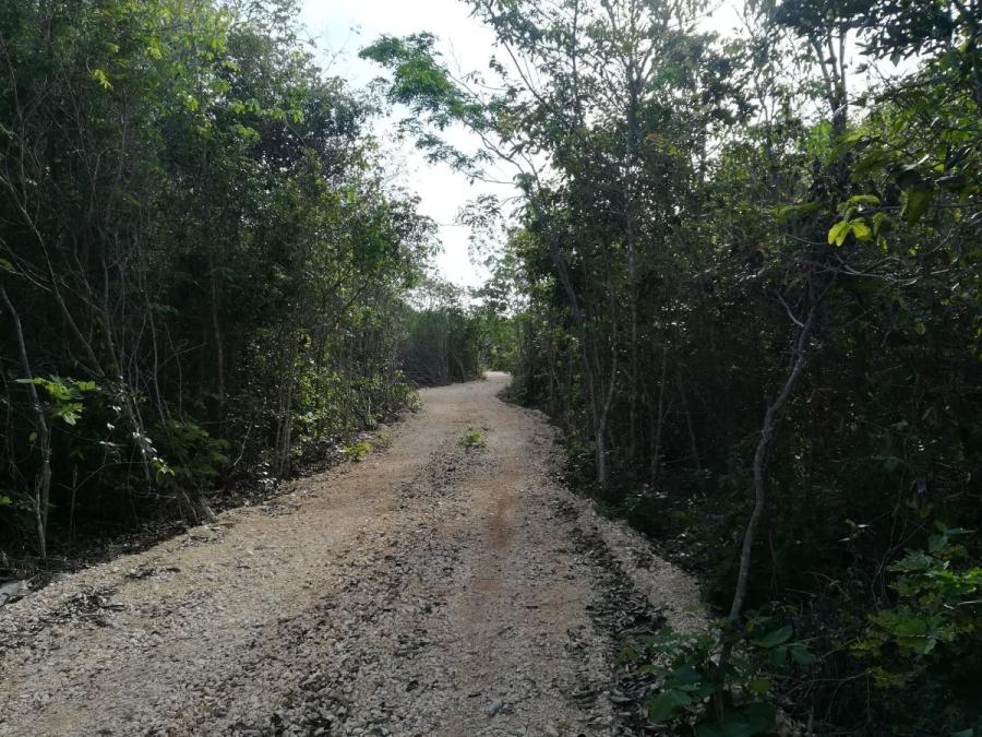 Foto Terreno en Venta en region 15, region 15, Quintana Roo - $ 1.600.000 - TEV250607 - BienesOnLine