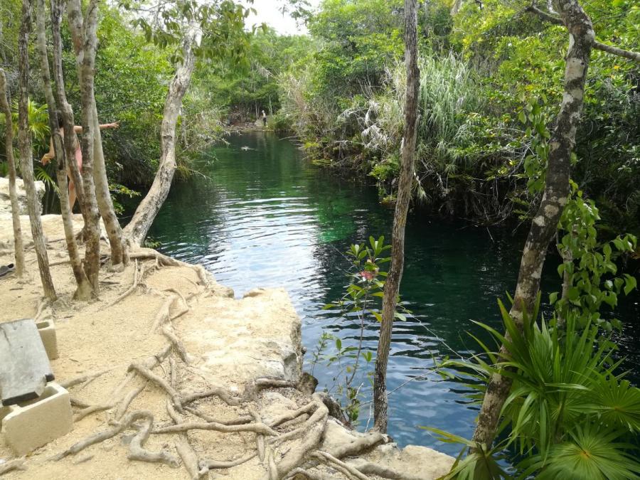 Foto Terreno en Venta en Region 12, Tulum, Quintana Roo - $ 2.500.000 - TEV255773 - BienesOnLine