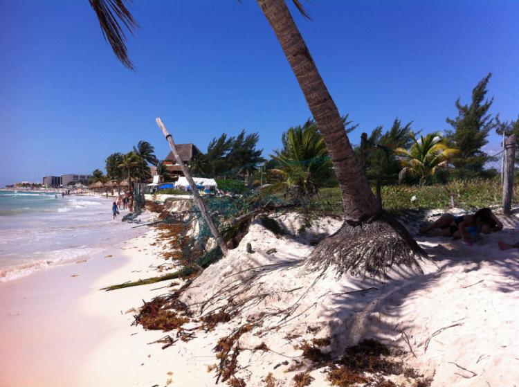 Foto Terreno en Venta en centro, Playa del Carmen, Quintana Roo - U$D 14.500.000 - TEV129699 - BienesOnLine