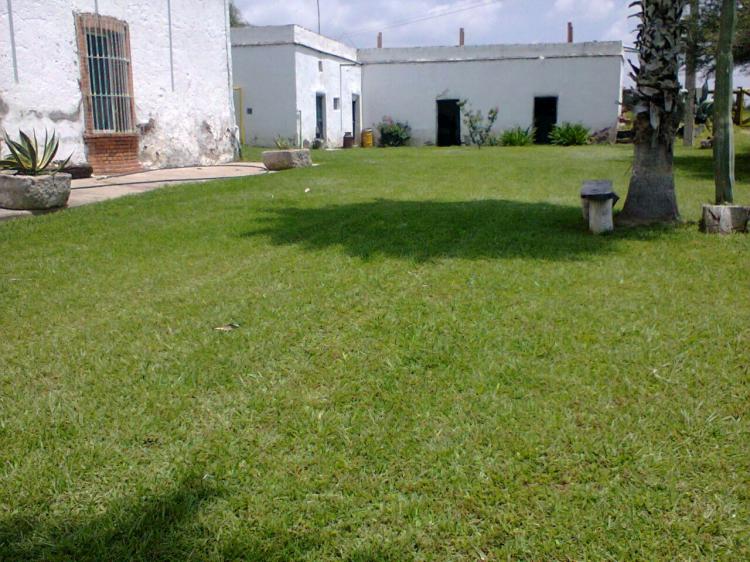 Foto Rancho en Venta en Villa Hidalgo, Jalisco - 46 hectareas - $ 7.500.000 - RAV163291 - BienesOnLine
