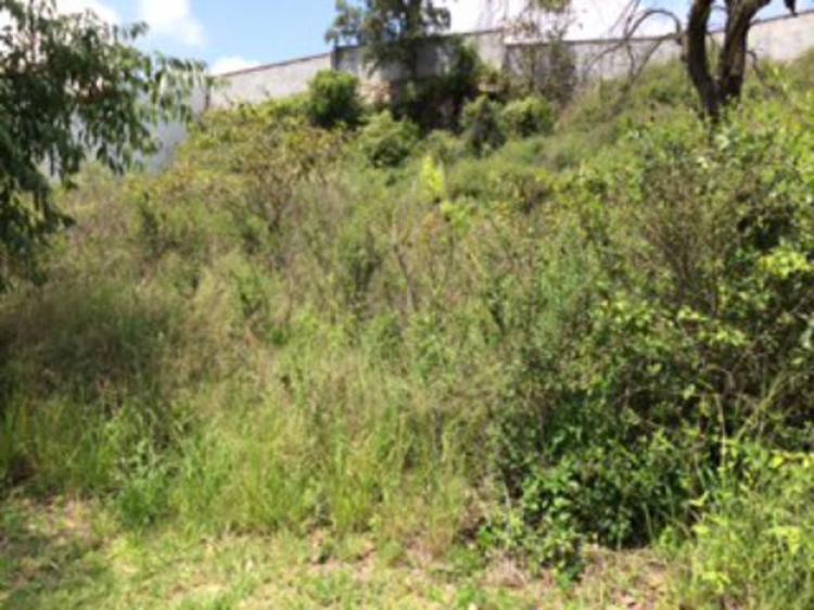 Foto Terreno en Venta en Altozano, Morelia, Michoacan de Ocampo - $ 1.165.600 - TEV119993 - BienesOnLine