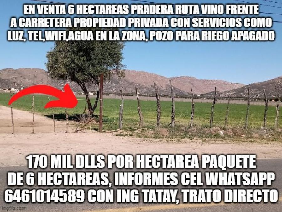 Foto Terreno en Venta en ejido el porvenir, valle de guadalupe, El Porvenir (Guadalupe), Baja California - 6 hectareas - U$D 170.000 - TEV338480 - BienesOnLine