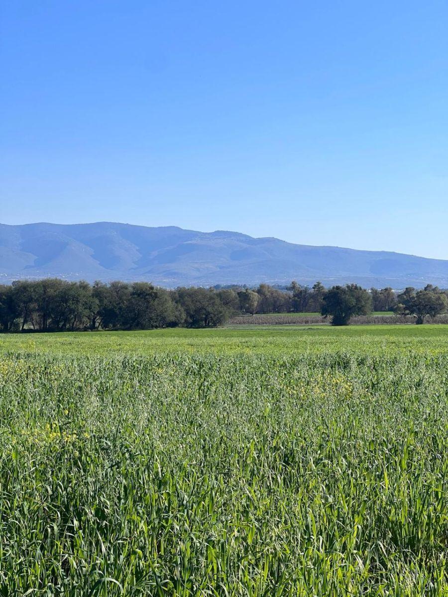 Foto Terreno en Venta en comunidad vivienda, san miguel de allende, guanajuato, Guanajuato - $ 1.400.000 - TEV360581 - BienesOnLine