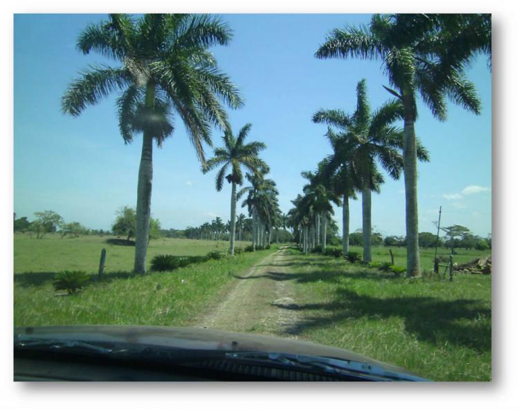 Foto Rancho en Venta en TAMPAMACHOCO, Tamiahua, Veracruz - $ 90.000 - RAV142934 - BienesOnLine