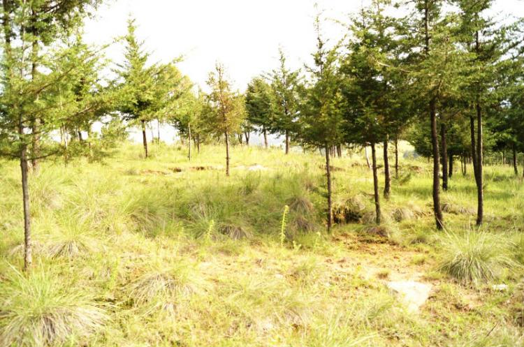 Foto Terreno en Venta en , Mexico - $ 3.265.220 - TEV81333 - BienesOnLine