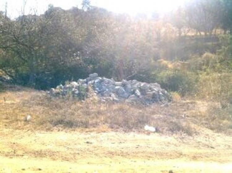 Foto Terreno en Venta en El Progreso, Ixtapan de la Sal, Mexico - $ 500 - TEV98304 - BienesOnLine