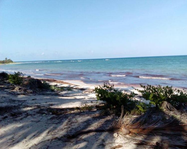 Foto Terreno en Venta en Tulum, Quintana Roo - $ 9.100.000 - TEV144719 - BienesOnLine