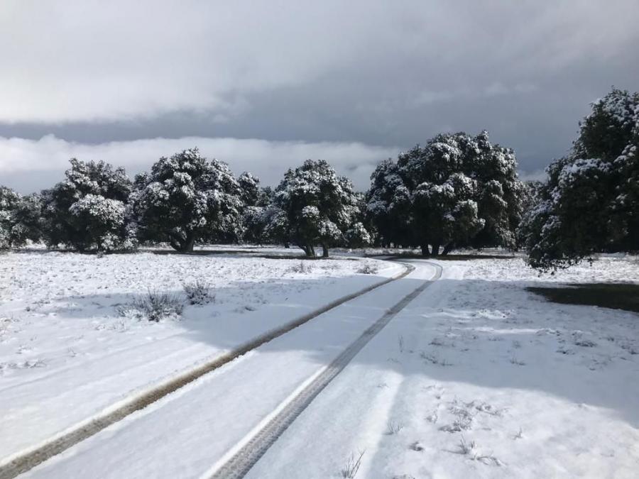 Foto Terreno en Venta en Colonia Luis Echeverría, Baja California - U$D 35.000 - TEV350152 - BienesOnLine
