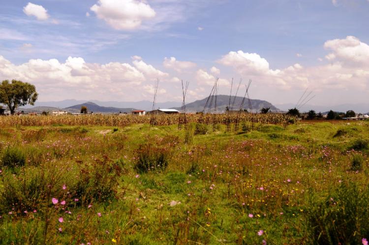 Foto Terreno en Venta en San Miguel Zinacantepec, Mexico - $ 1.700 - TEV86529 - BienesOnLine