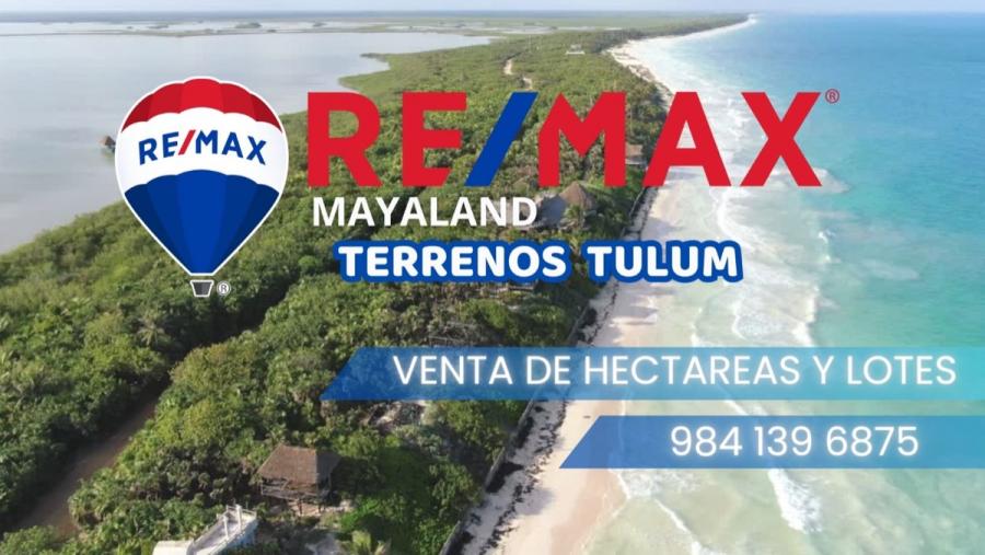 Foto Terreno en Venta en region 15, Tulum, Quintana Roo - 1 hectareas - $ 10.000.000 - TEV350732 - BienesOnLine