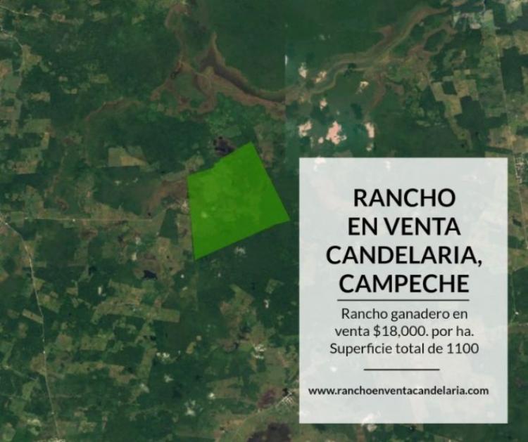 Rancho en Venta en Candelaria, Campeche