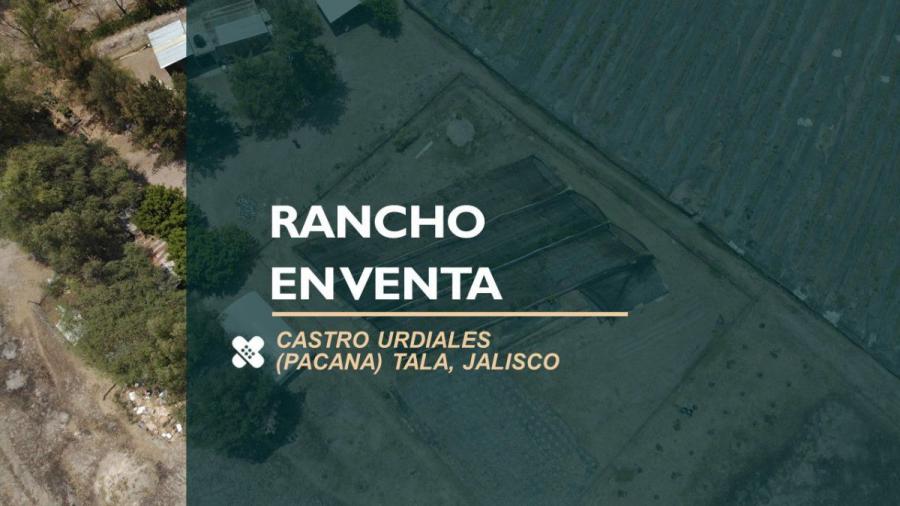 Foto Rancho en Venta en Pacana, Castro Urdiales, Jalisco - 4 hectareas - $ 5.450.000 - RAV330464 - BienesOnLine