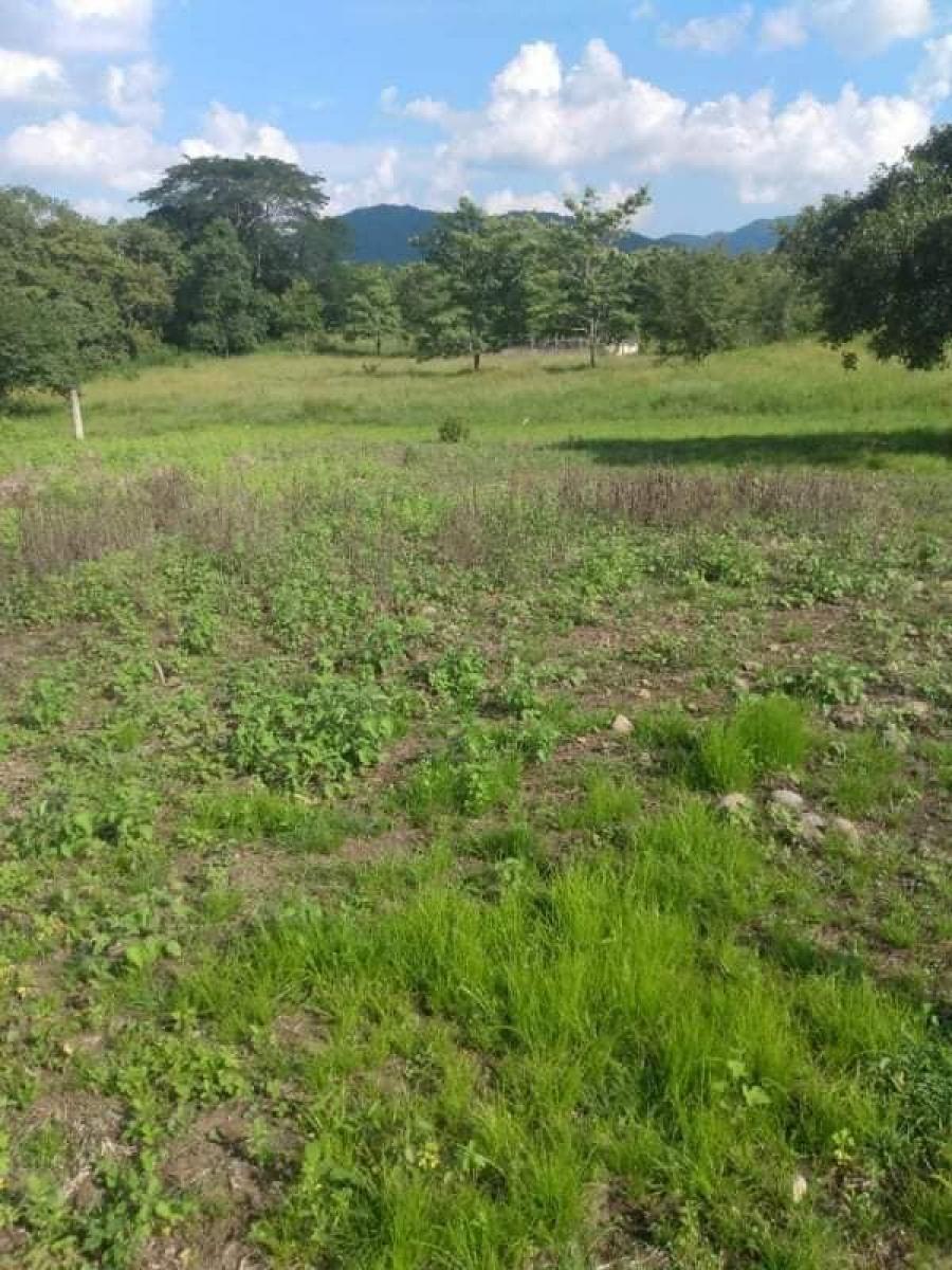 Foto Terreno en Venta en Cosolapa, Oaxaca - $ 210.000 - TEV345502 - BienesOnLine