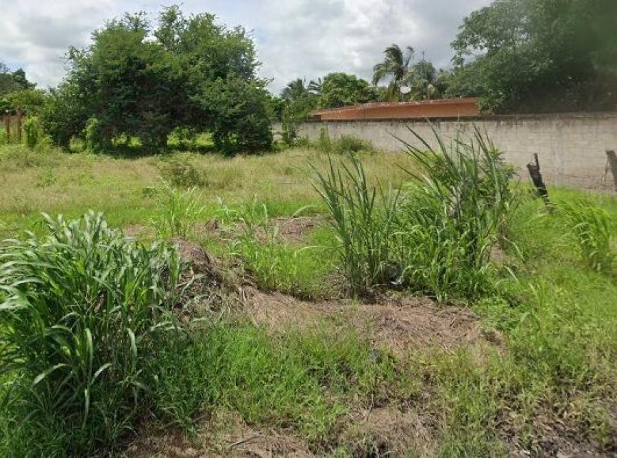 Foto Terreno en Venta en TAMARINDO, PUENTE NACIONAL, Veracruz - $ 282.000 - TEV351365 - BienesOnLine