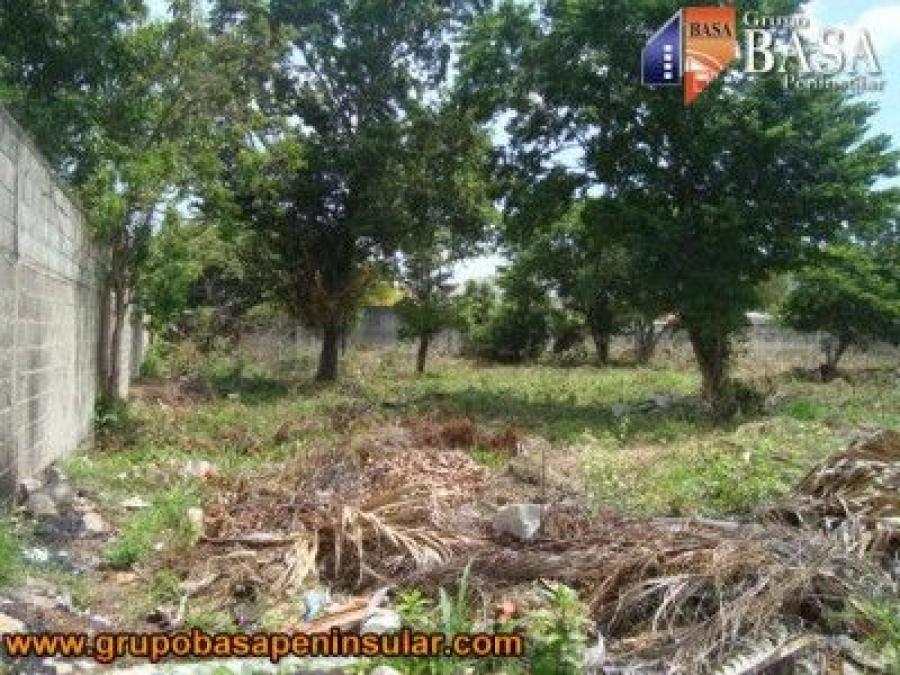 Foto Terreno en Venta en CHUBURNA, Mrida, Yucatan - $ 240.000 - TEV283040 - BienesOnLine