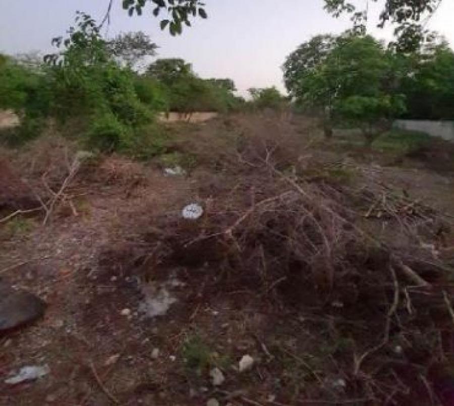 Foto Terreno en Venta en FRACCIONAMIENTO UNIDADA HABITACIONAL CTM, Mrida, Yucatan - $ 420.000 - TEV280919 - BienesOnLine