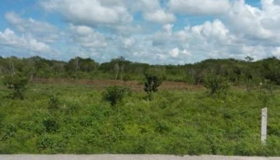 Foto Terreno en Venta en MAXCANU, Maxcan, Yucatan - $ 74.750 - TEV277624 - BienesOnLine