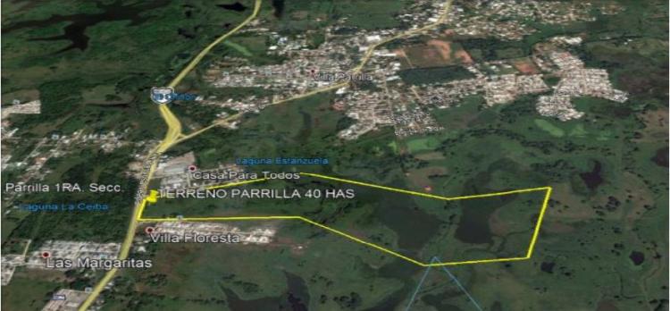 Foto Terreno en Venta en parrilla, Parrilla, Tabasco - 40 hectareas - $ 64.000.000 - TEV212417 - BienesOnLine