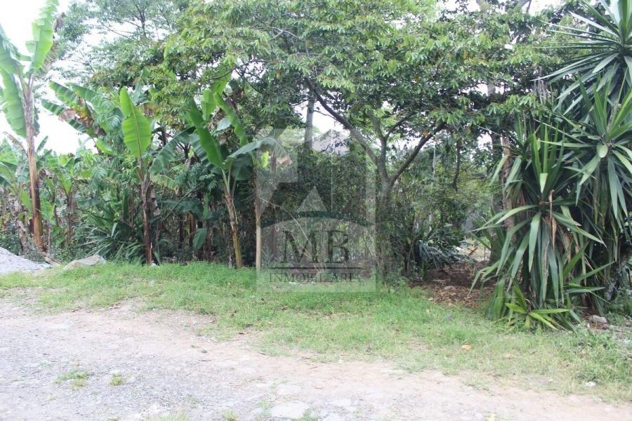 Foto Terreno en Venta en Motzorongo, Veracruz - $ 220.000 - TEV339357 - BienesOnLine