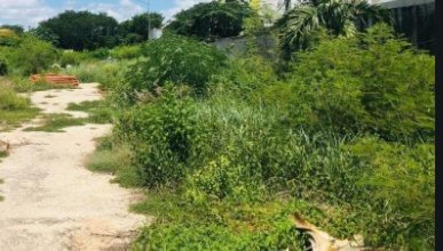 Foto Terreno en Venta en SAN PEDRO UXMAL, Mrida, Yucatan - $ 850.000 - TEV278341 - BienesOnLine