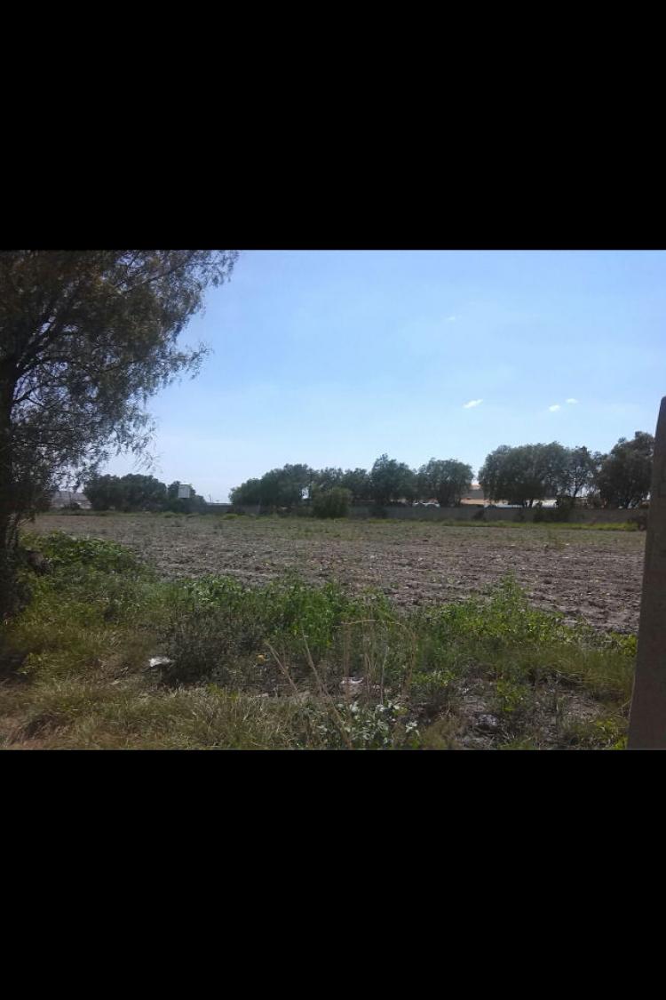 Foto Terreno en Venta en San Jeronimo Xonacahuacan, Tecmac de Felipe Villanueva, Mexico - $ 800 - TEV171515 - BienesOnLine