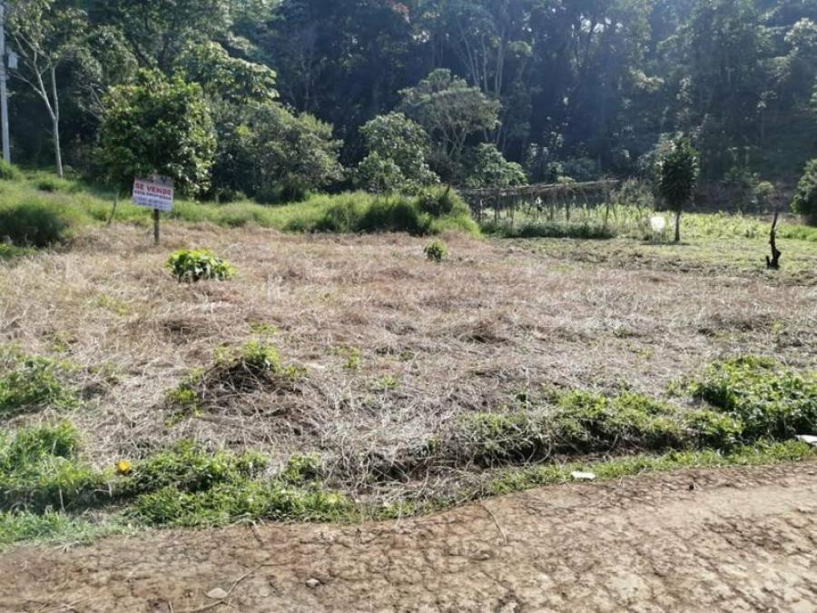 Foto Terreno en Venta en TEOCELO 2000, Teocelo, Veracruz - $ 300.000 - TEV323360 - BienesOnLine