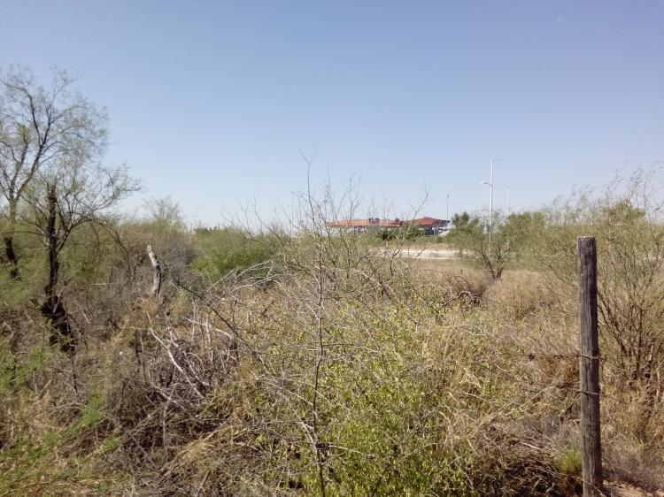 Foto Terreno en Venta en LA MANGA, Hermosillo, Sonora - 4 hectareas - $ 800 - TEV207905 - BienesOnLine