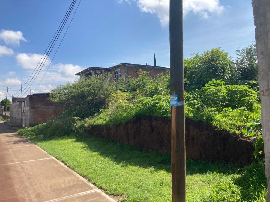 Fotos de VENTA TERRENO ENCRICERO DE ZINAPECUARO, SANTA CLARA DEL TULE