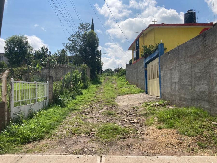 Fotos de VENTA TERRENO ENCRICERO DE ZINAPECUARO, SANTA CLARA DEL TULE